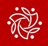 Grupo Cajueiro